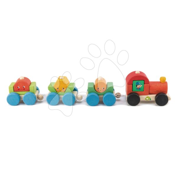 Fa kisvonat építőjáték Happy Train Tender Leaf Toys 14 darabos készlet 3 vagonnal és geometriai alakzattal 18 hó-tól gyerek játék webáruház - játék rendelés online Bébijátékok | Érzékek és motorika fejlesztése   | Húzható játékok