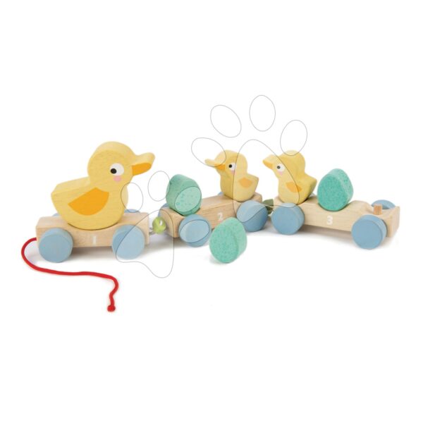 Fa húzható kisvonat Pull Along Ducks Tender Leaf Toys kiskacsákkal és tojásokkal 18 hó-tól gyerek játék webáruház - játék rendelés online Fa gyerekjátékok |  Készségfejlesztő fajátékok