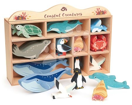 Fa tengeri állatok polcon 30 drb  Coastal set Tender Leaf Toys gyerek játék webáruház - játék rendelés online Fa gyerekjátékok |  Készségfejlesztő fajátékok