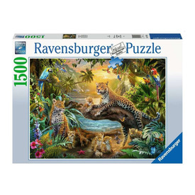 Játék webáruház - Ravensburger Puzzle 1500 db - Leopárdok a dzsungelban online gyerekjáték rendelés Puzzle - Puzzle