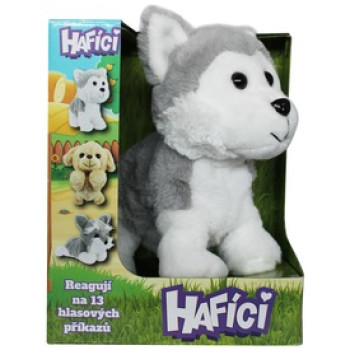 Hafici
