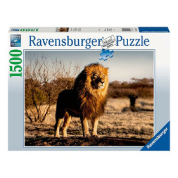 Puzzle 1500 db - Oroszlán az állatok királya online gyerekjáték rendelés Puzzle - Puzzle