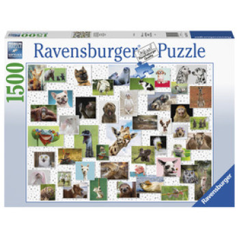 Ravensburger: Puzzle 1500 db - Vicces állatok online gyerekjáték rendelés Puzzle - Puzzle