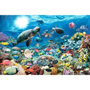 Ravensburger: Puzzle 5 000 db - Tengeri élet online gyerekjáték rendelés Puzzle - Puzzle